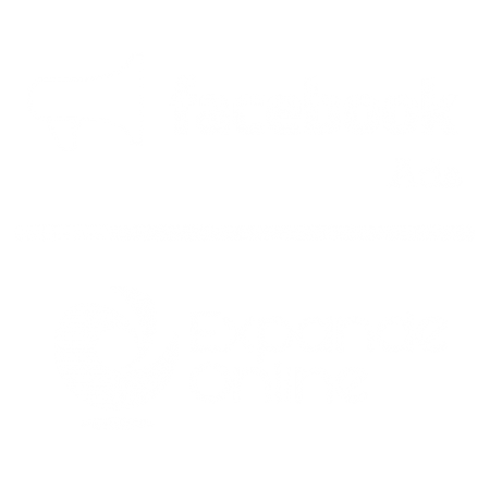 campaña en Facebook Ads | Expande Online