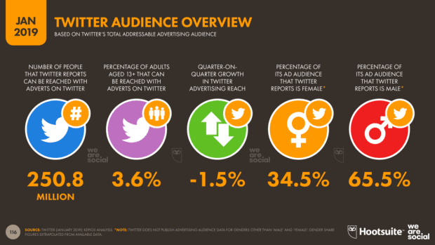 Tipos de campañas de publicidad digital para tu negocio - Twitter Audience Overview