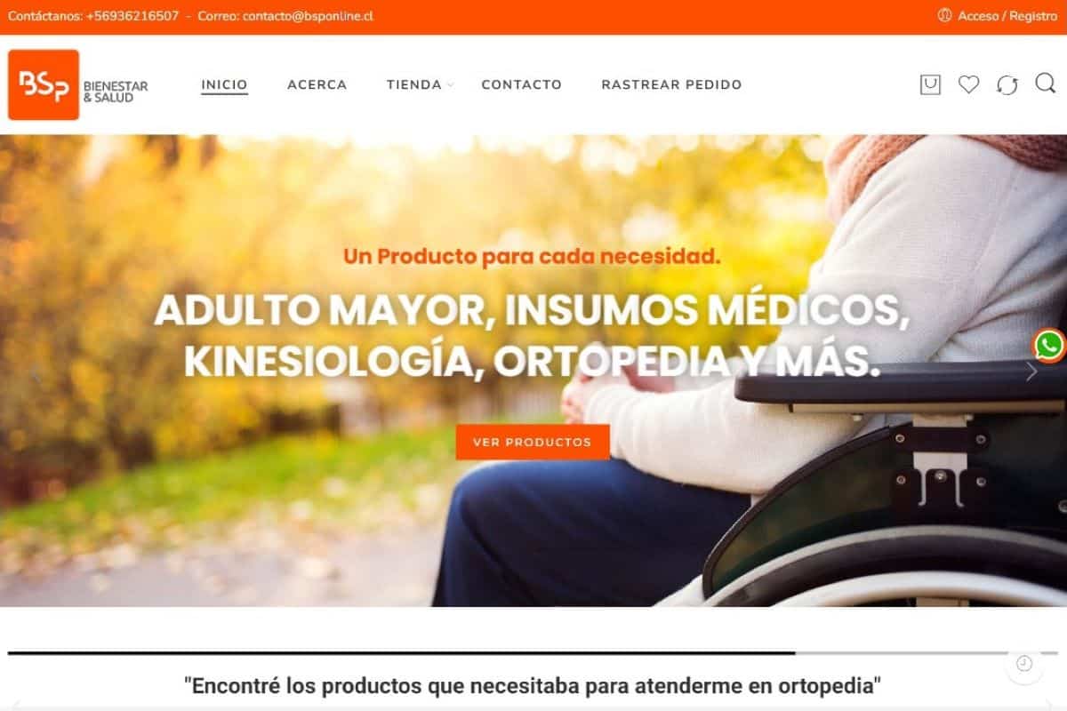 BSP online